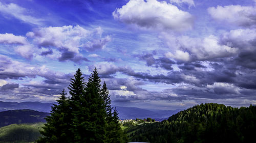 Low angle view of trees against sky