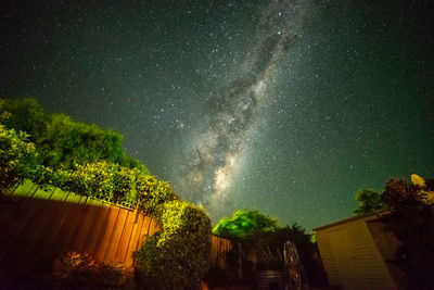 Low angle view of trees against sky at night