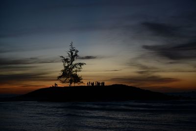 Silhouette tree by sea against sky at sunset