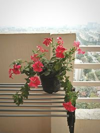 Close-up of flowers against blurred background