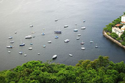 High angle view of sea by trees