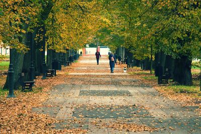 People walking on footpath in park during autumn