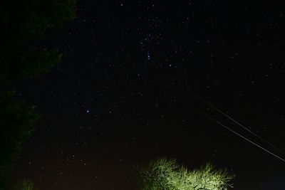 Low angle view of starry sky