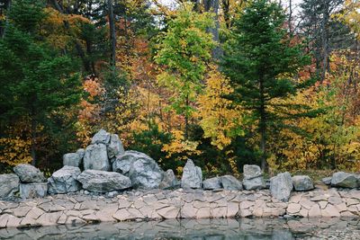Scenic view of rocks by trees during autumn