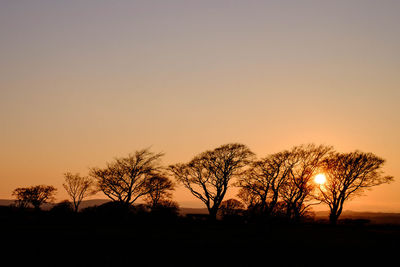 Silhouette trees against sky during sunset