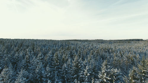 Scenic view of field against sky during winter