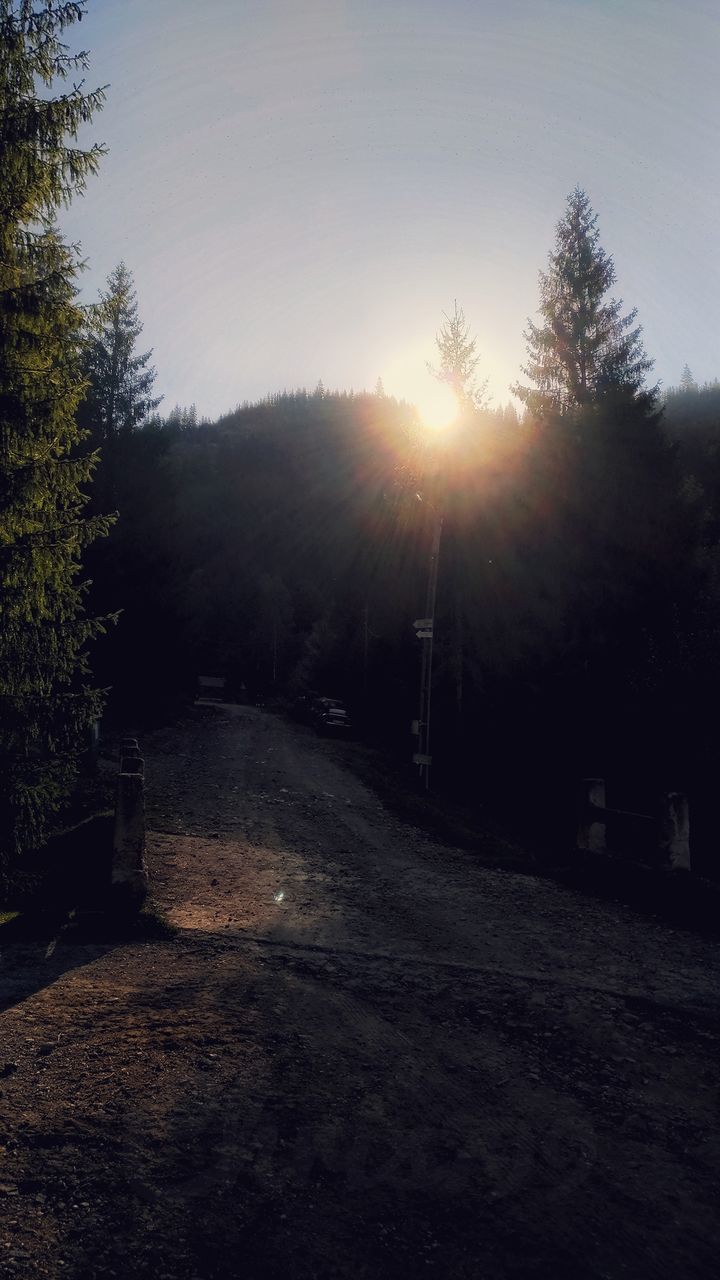 EMPTY ROAD AMIDST TREES AGAINST SKY DURING SUNSET