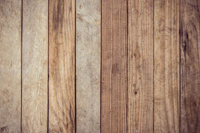 Wood background and texture with copy space