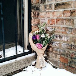 Plants growing on wall