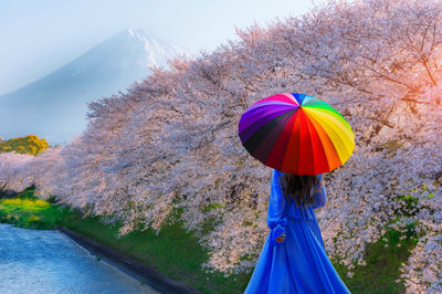 Rear view of woman holding umbrella