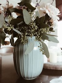 Close-up of potted plant on table at home