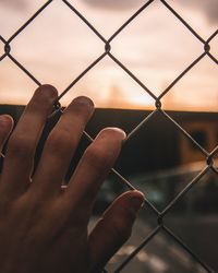 Close-up of hand holding chainlink fence against sky