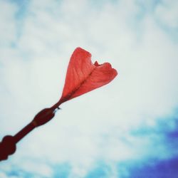 Low angle view of leaves against sky