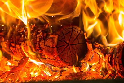 Close-up of bonfire at night