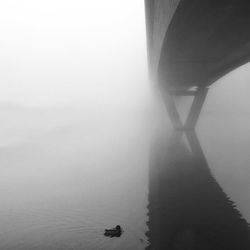 River in foggy weather