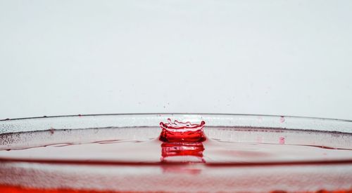 Close-up of red splashing water