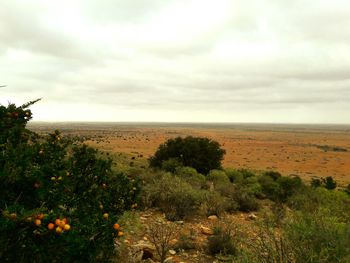 Scenic view of sea against cloudy sky