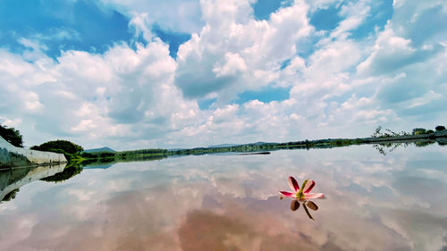 Scenic view of pink lake against cloudy sky