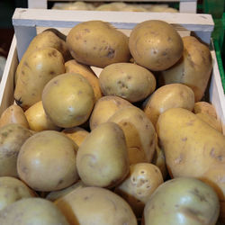 High angle view of fruits for sale at market stall