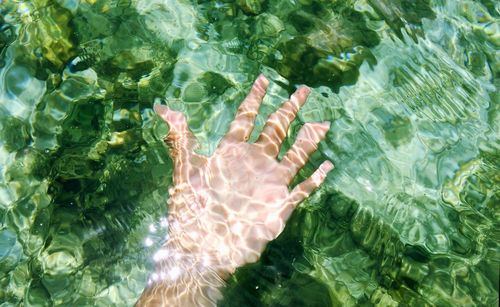 Cropped hand of person in sea