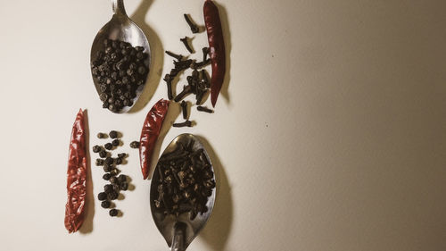 Close-up of food on table against white background