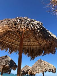 Low angle view of palm trees against sky