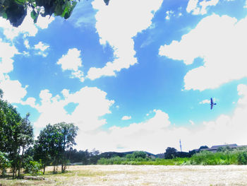 Trees growing on field against sky