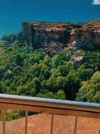 Plants growing on land against sky