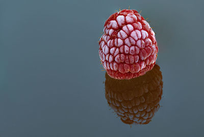 Close-up of strawberry against white background