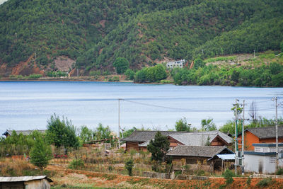 Houses by lake and buildings against trees