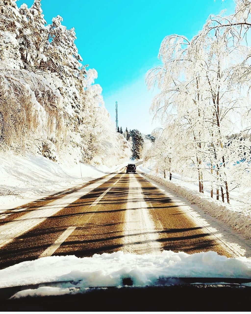 transportation, road, sky, direction, the way forward, nature, tree, cold temperature, day, diminishing perspective, winter, beauty in nature, sunlight, plant, snow, no people, clear sky, white color, tranquil scene, outdoors