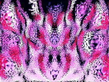 Full frame shot of pink wall