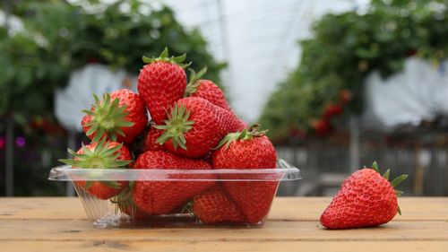 Close-up of strawberries in bowl on table