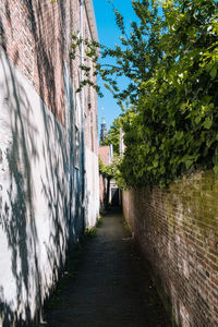 Narrow alley along buildings