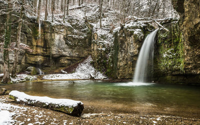 Scenic view of waterfall in forest