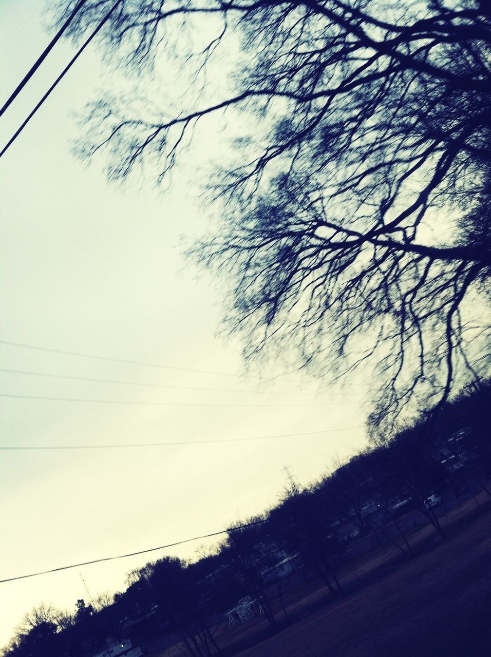 tree, power line, silhouette, branch, bare tree, low angle view, sky, electricity pylon, tranquility, cable, nature, clear sky, electricity, connection, no people, outdoors, growth, tranquil scene, day, power supply