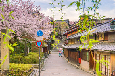 Potted plants on road by building against sky