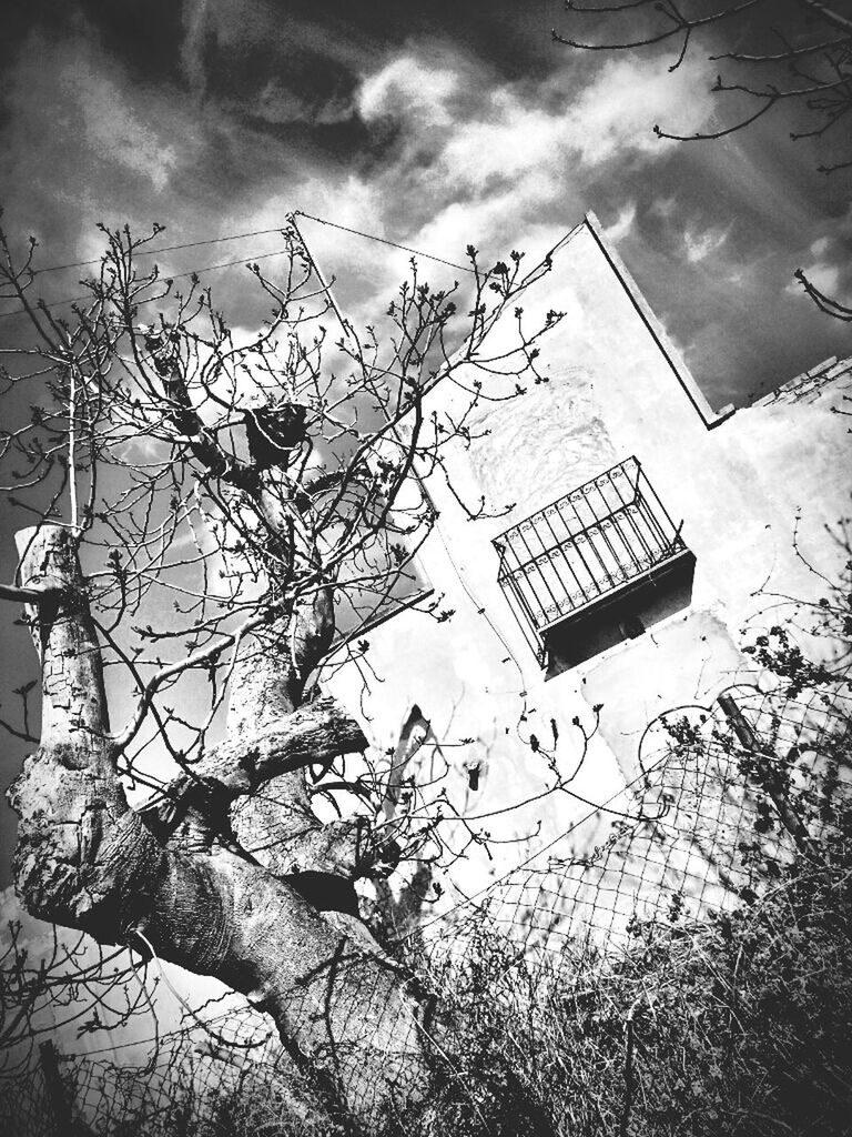 tree, low angle view, sky, built structure, branch, building exterior, day, high angle view, architecture, silhouette, no people, window, text, outdoors, nature, growth, communication, auto post production filter, bare tree, reflection