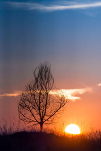 Bare tree on field against sky during sunset