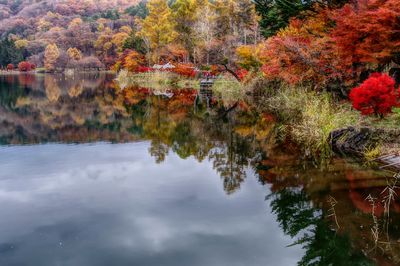 Reflection of trees on lake during autumn