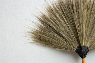 Close-up of broom against white background