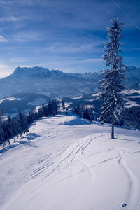 Snow covered landscape against sky