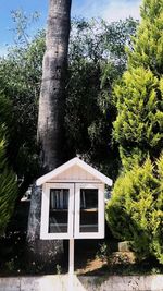 Trees and building against sky