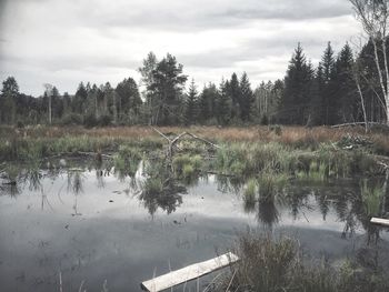 Scenic view of lake against sky