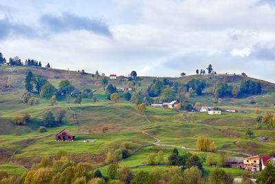 Aerial view of green rural landscape