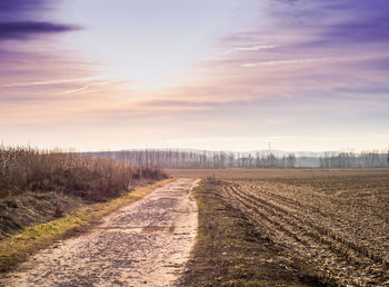 Dirt road amidst agricultural field against sky