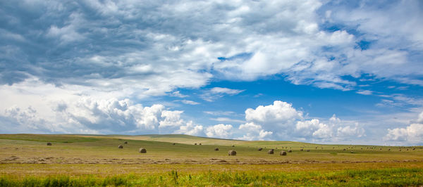 Panoramic view haystacks on a field on a summer day with a cloudy sky. 