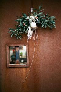 Close-up of christmas decoration hanging by house