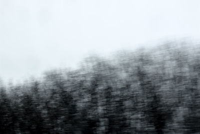 Trees against sky during winter