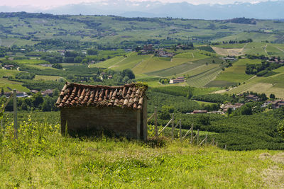 Scenic view of agricultural field